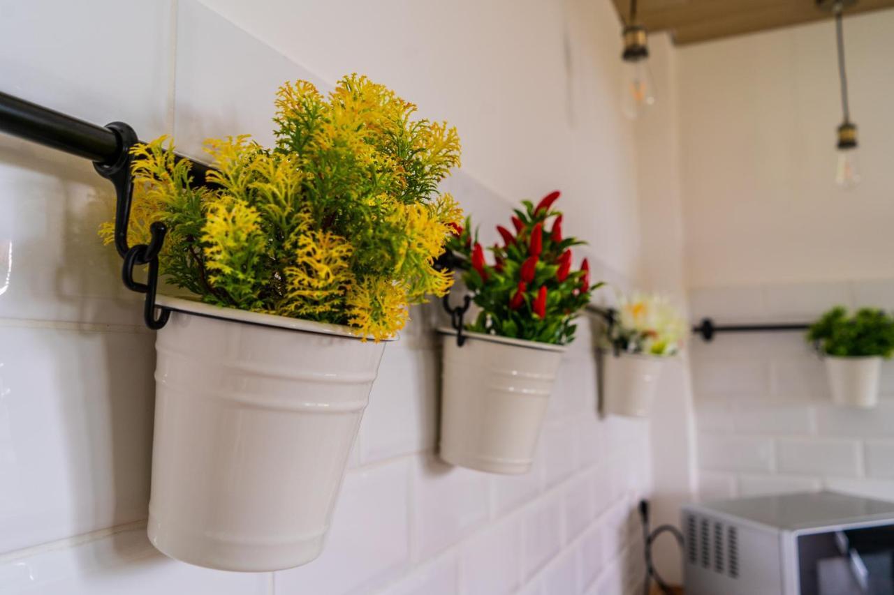 מיסטרביאנקו Villetta Gallo B&B Casa Vacanze Humanitas Catania Centro Sicilia Clinica Humanitas מראה חיצוני תמונה
